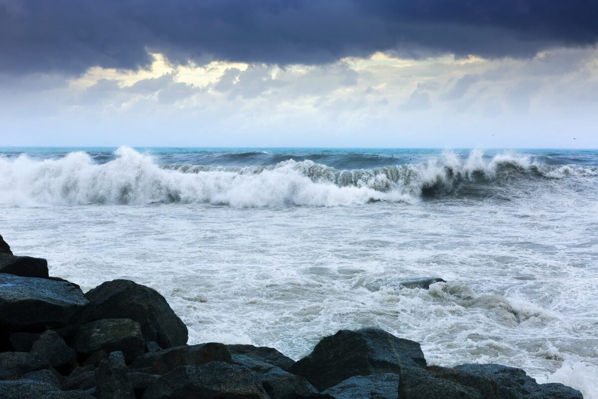    Фото: freepik.com writ4