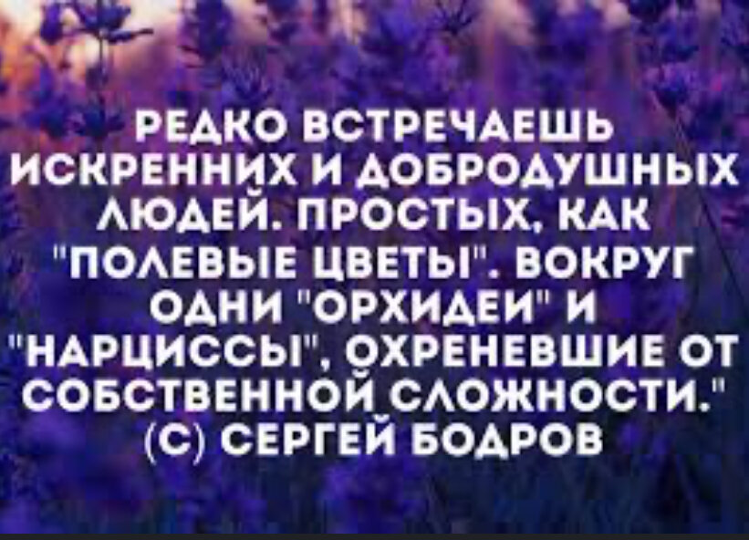 Фото из интернета 