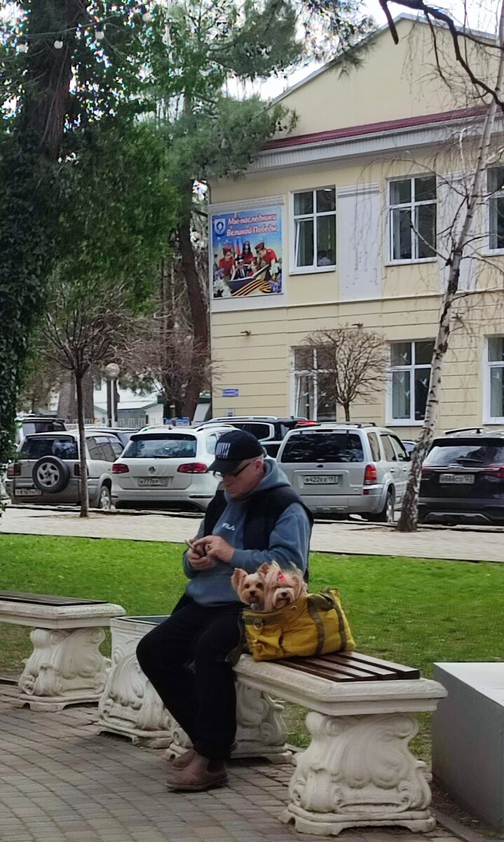 Приехали в Геленджик и удачно влезли в февральское окно | Зимнее лето | Дзен