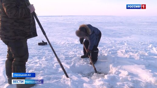 северное сияние и луна. явление гало вокруг луны. сумерки гражданские навигационные астрономические белые ночи. видео за полярный кругом луна. чукотка полярная ночь.