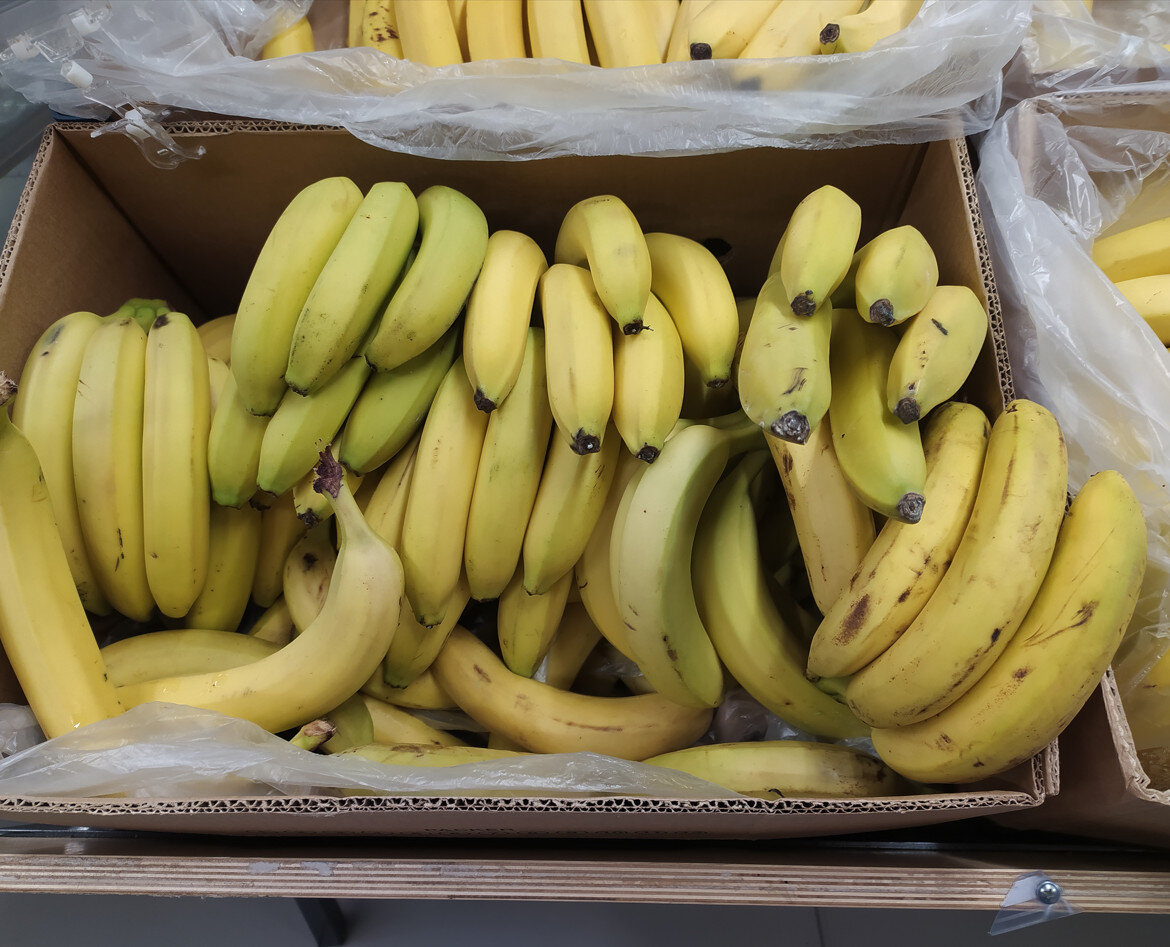    © MAKSIM KONSTANTINOV/GLOBAL LOOK PRESS