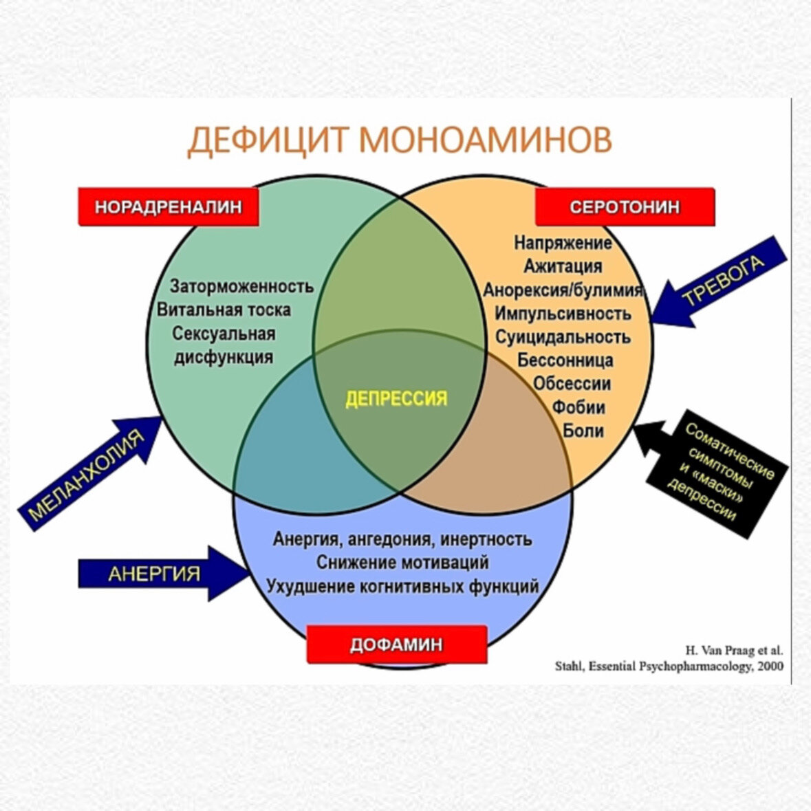 Ни обоняния, ни настроения, ни сексуальности