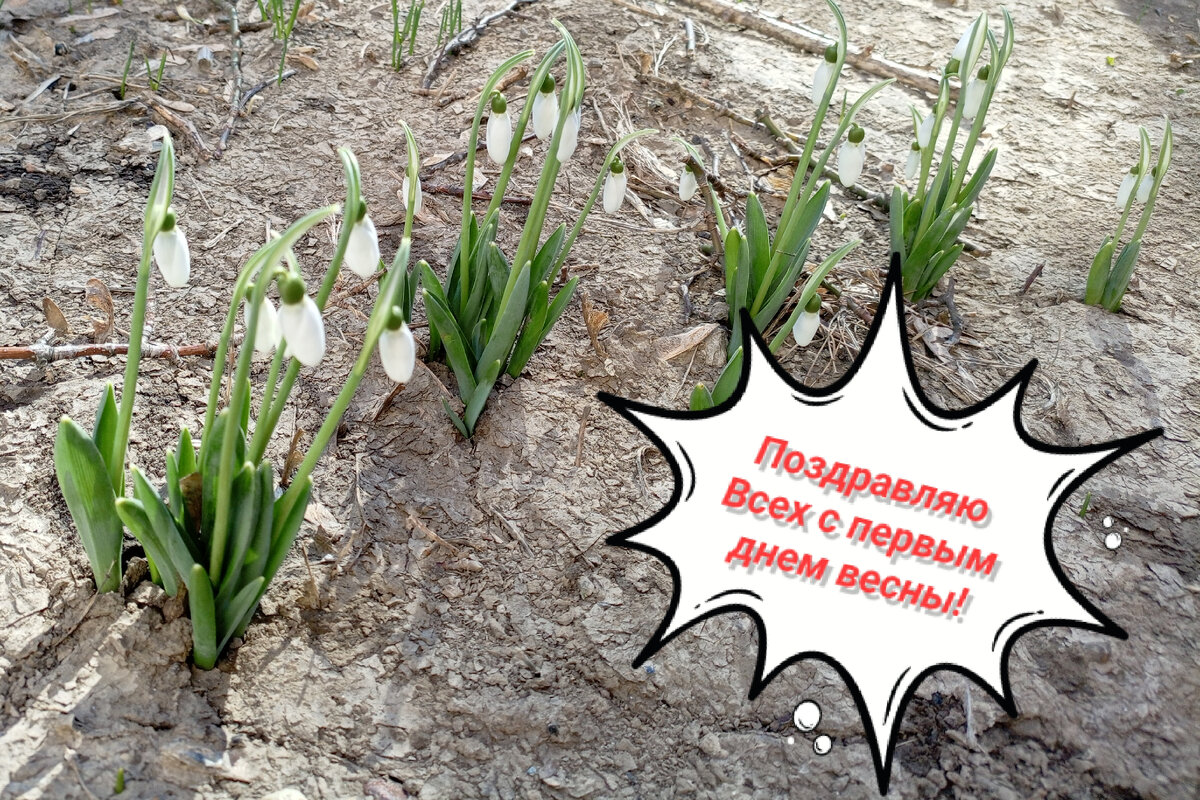 Прекрасное время для любых начинаний