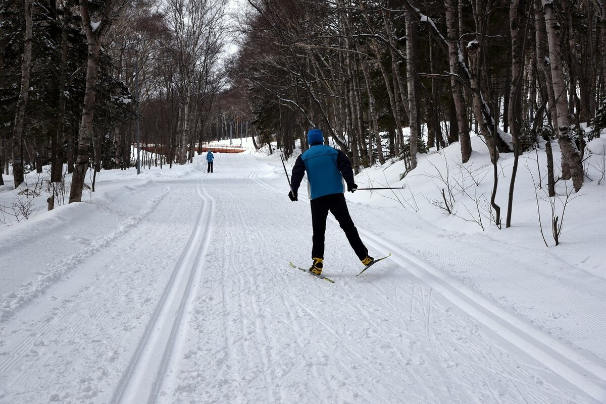 Лыжи еще не сошли с дистанции, но приближение весны чувствуется. Природа в предвкушении. По пению птиц, по запахам и звукам на улицах городов и в лесу- она угадывается всюду.