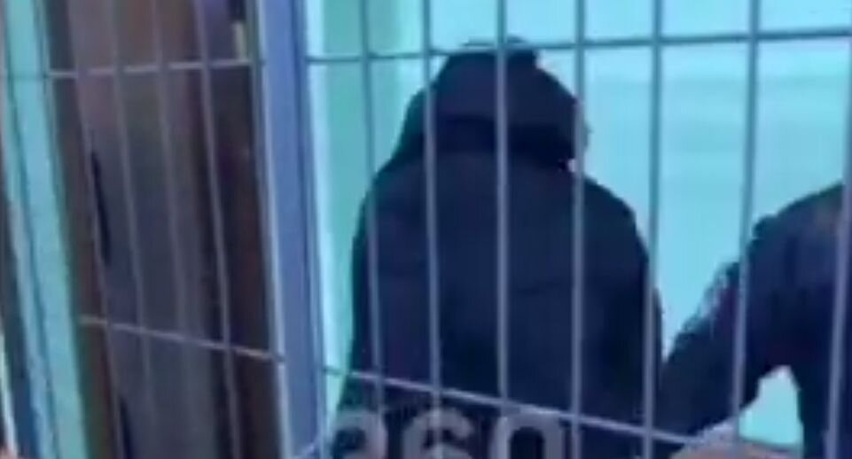    Телеканал «360»