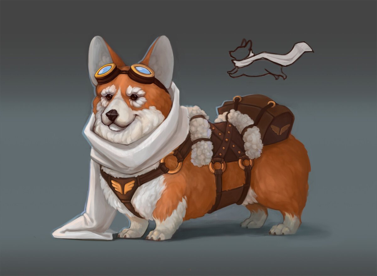 Мистер корги