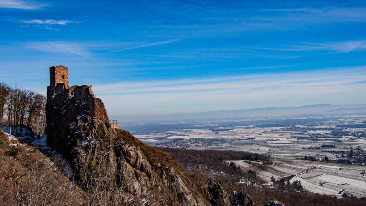 Развалины замка Гирсберг неподалеку от Кольмара. Источник фото: visit.alsace