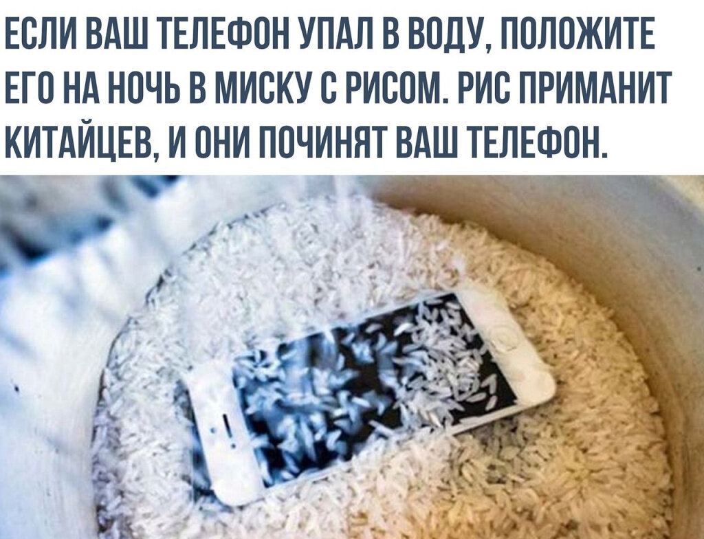 Apple разрушила главный миф об iPhone, который упал в воду | iGuides.ru |  Дзен