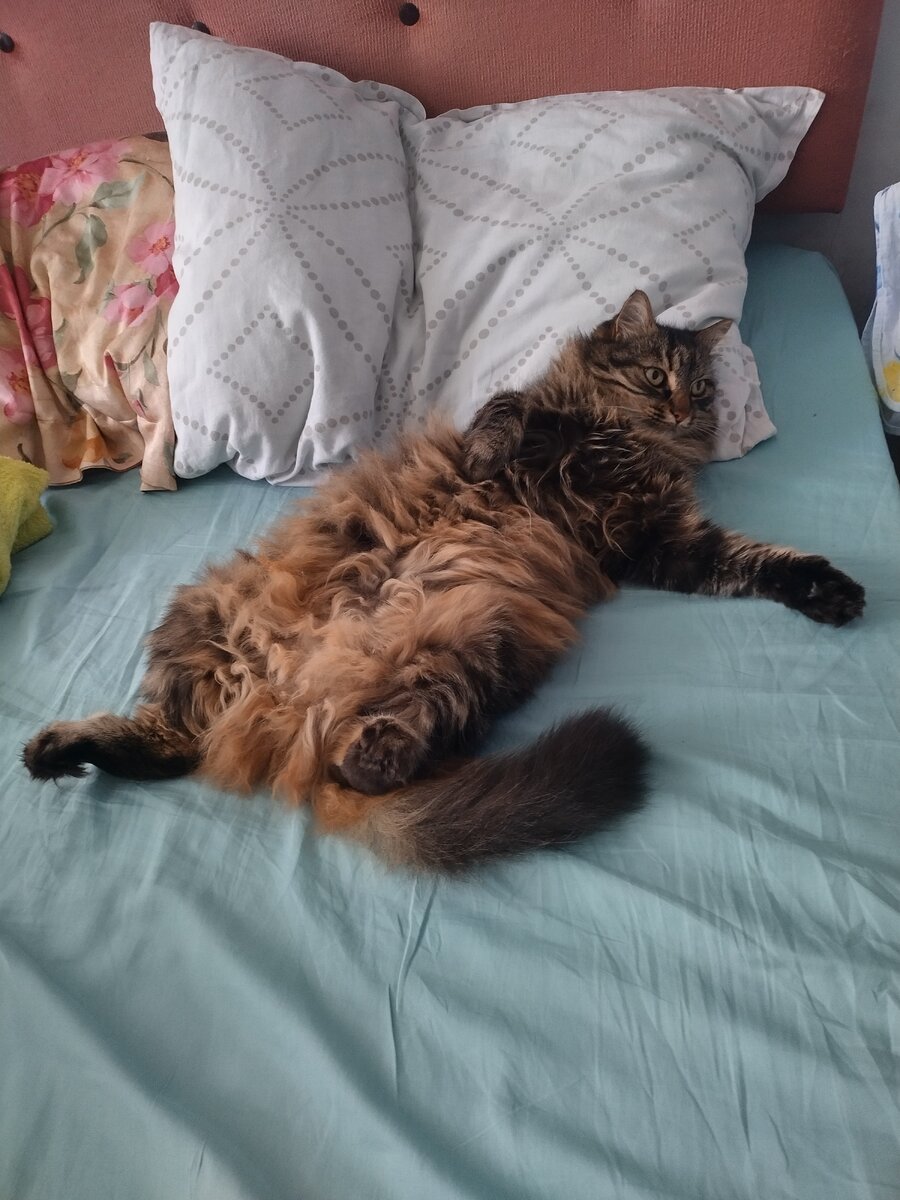 Пиши, пиши, пейсатель, а я подожду, подумаю. 