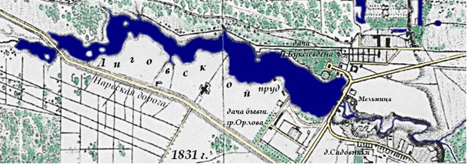 Лиговский пруд на карте ген.лейт. Шуберта 1831 г. (север справа). 