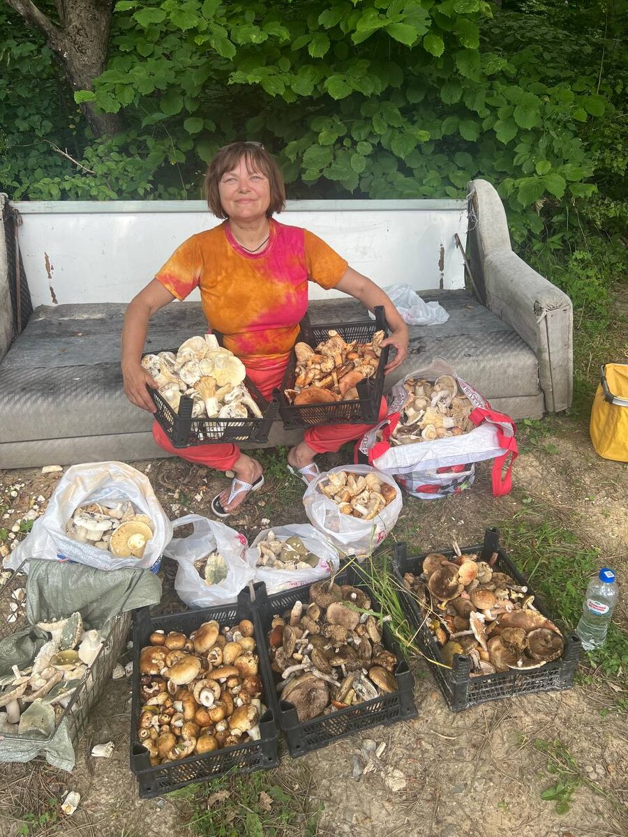 Грибная охота