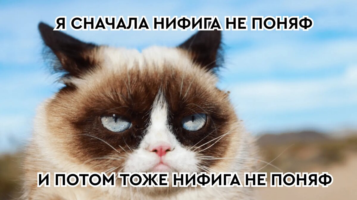 Прочитай это и через 5 минут, ты начнешь использовать нейросети в своей  работе! | ИИмхо | Дзен