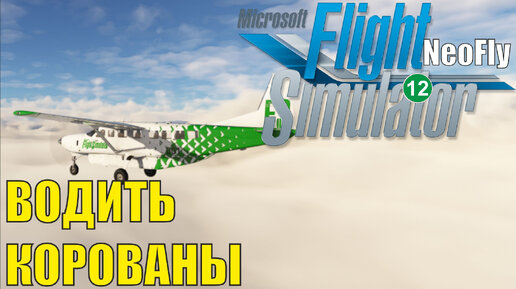  Microsoft Flight Simulator 2024    