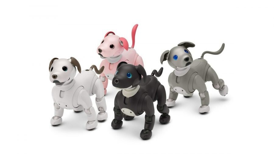    A group shot of different color aibo. ERS-1000 aibo (front L), ERS-1000B aibo Espresso Edition (front R), ERS-1000H aibo Black Sesame Edition (Back R) and ERS-1000P aibo Strawberry Milk Edition (Back L). Sergei