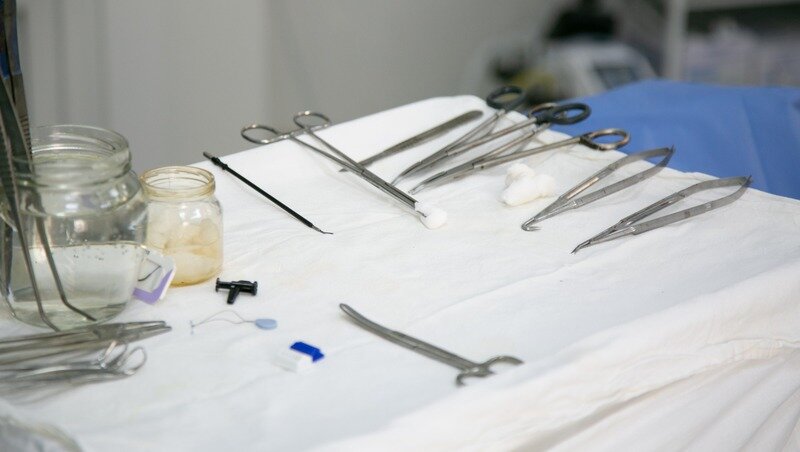      Фото: ИА «Победа26»