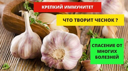 Удивительные свойства чеснока. Почему чеснок не заменим ?