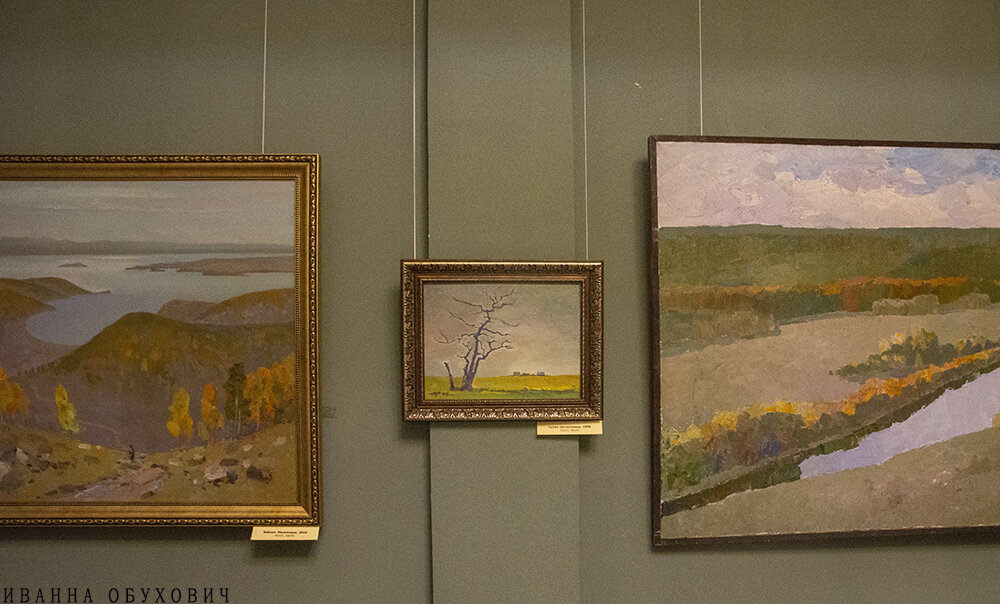 Выставка С. Писарева. Фото Иванны Обухович