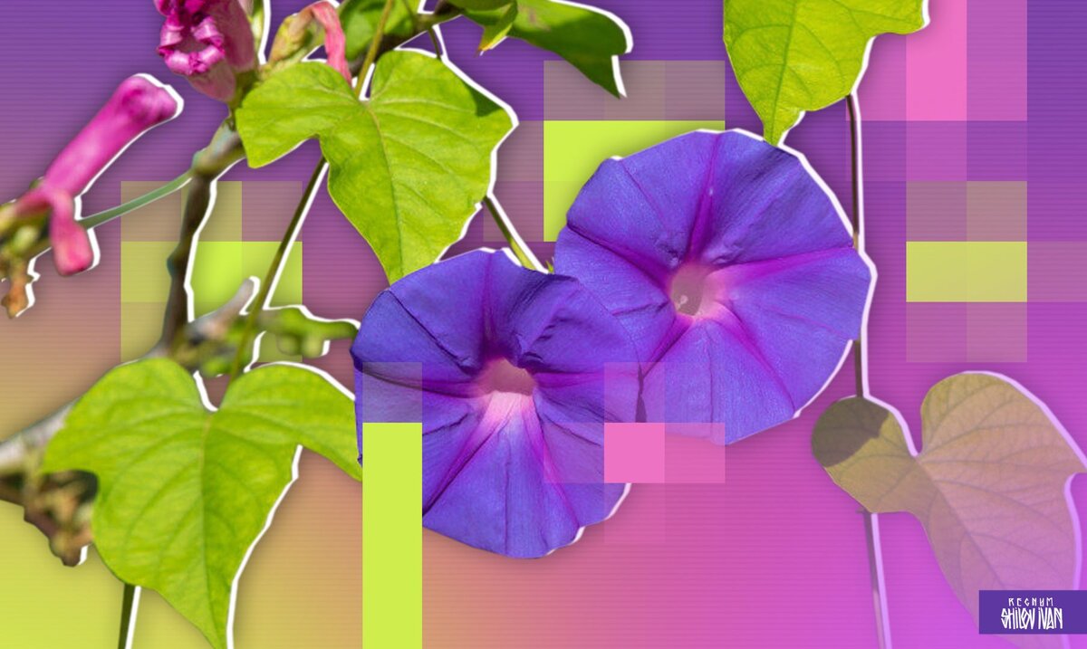    Иван Шилов (с) ИА Регнум