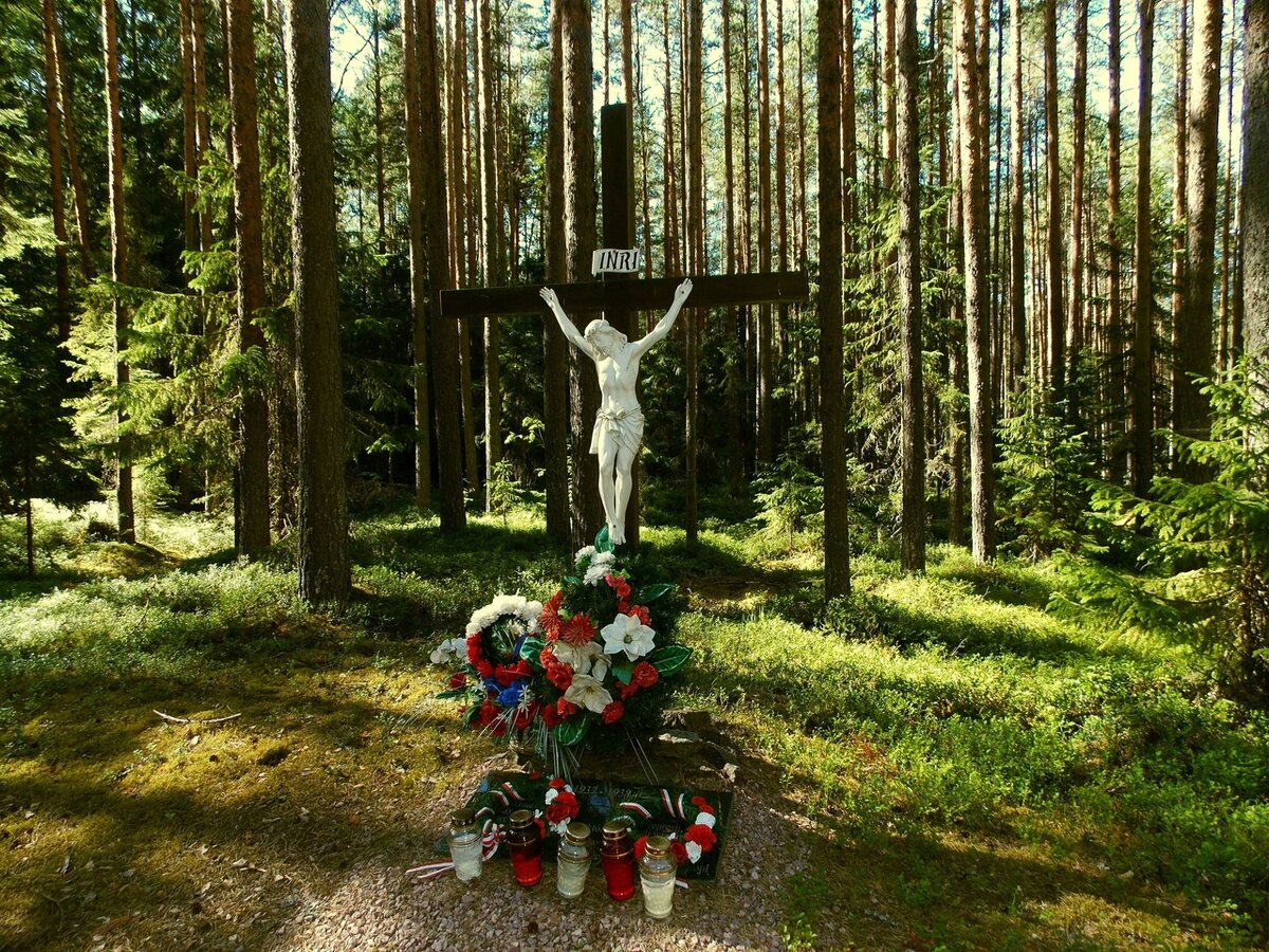 Место казни обнаружено в 1997 году. Согласно рассекреченным архивным данным, с 9 августа по 15 сентября 1937 года и с 26 сентября по 2 октября 1938 года здесь были расстреляны 1196 человек: 580 финнов, 432 карела , 136 русских и 48 лиц других национальностей. На этом месте находится около сорока могильников. Людей расстреливали выстрелами в затылок. Расстреливали две группы НКВД. После эксгумации, почти все тела были идентифицированы.