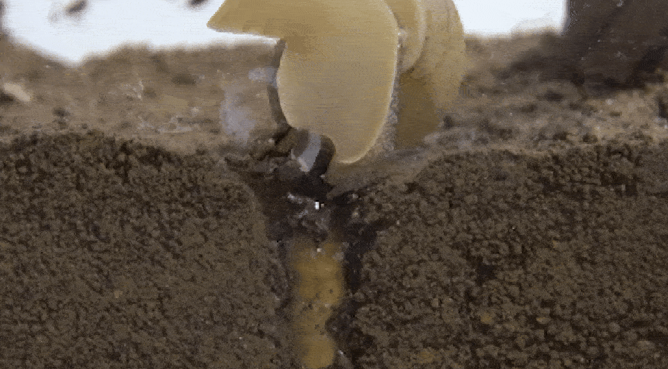   Nozomu Sato et al. / Ecology, 2024