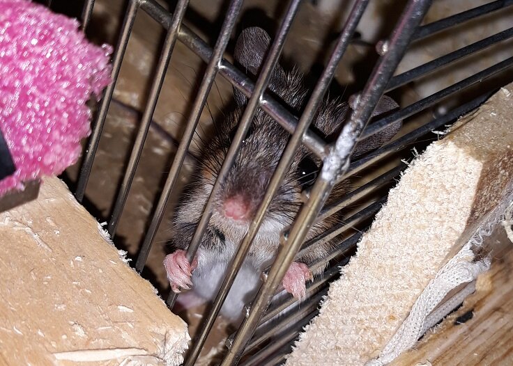 Рига, 17 февраля 2024