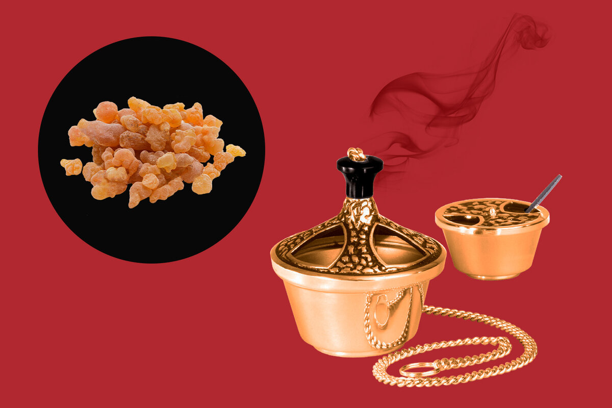    «Правила жизни»