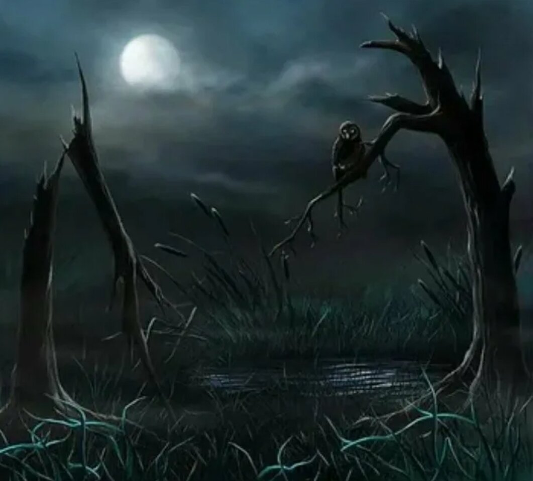 Болота вороны. Страшное болото. Зловещее болото. Мрачное болото. Ночное болото.