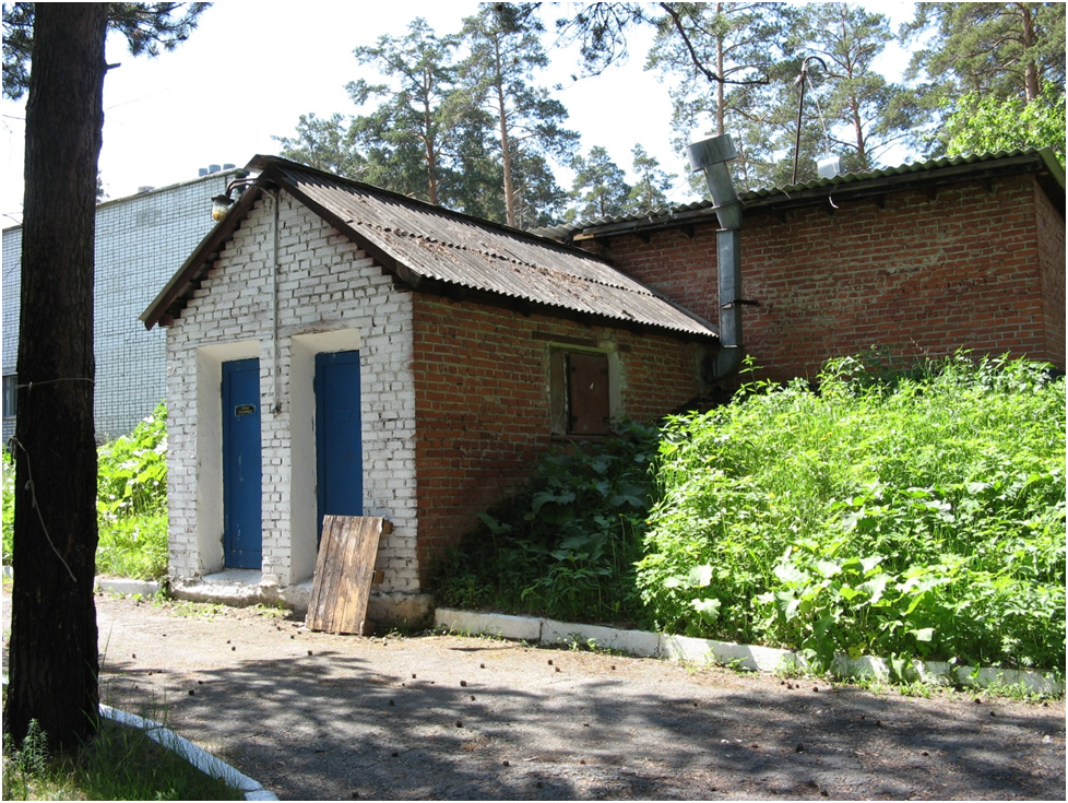 Наше овоще-гноилище, извините, - хранилище. Фото автора.