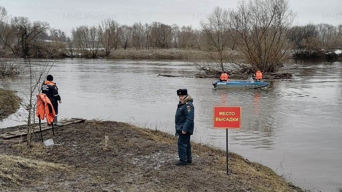 Паводок в Тульской области затронет 10 муниципальных образований | Вести  Тула | Дзен