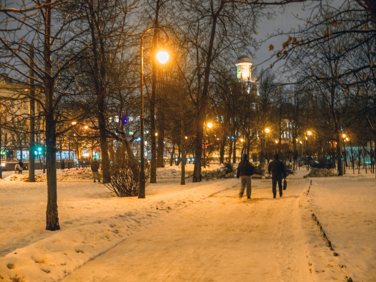 Фото: Павел Борисов