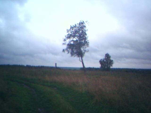 Реальное фото дороги, по которой когда то ходили пешком люди из одной деревни до другой. Сейчас этих деревень нет.