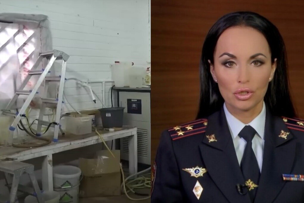 Официальный представитель МВД России Ирина Волк рассказала о раскрываемости прес