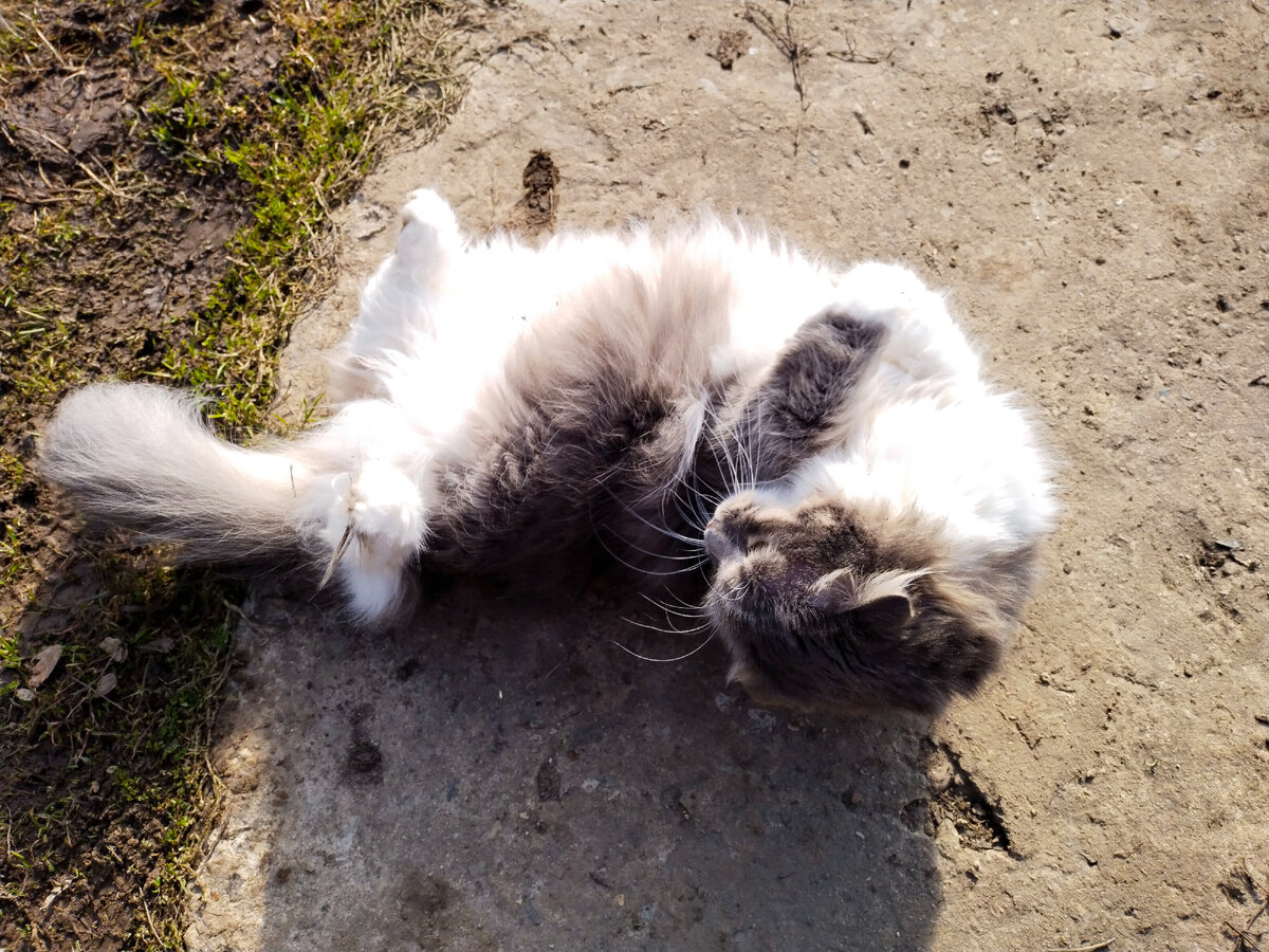 И весеннюю фотку, для настроения!