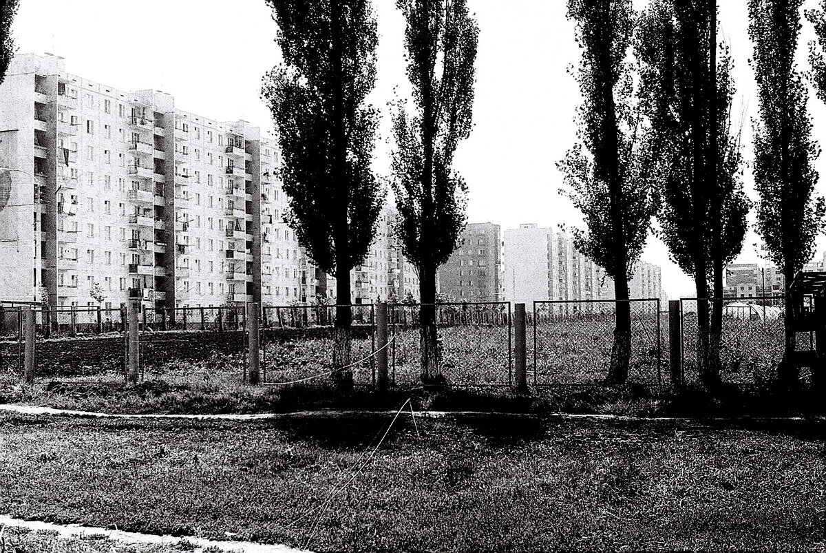 Фото краснодара 2000 годов Краснодар советский. Продолжение. Снимки 1978 года. Часть 3 ПАНТОГРАФ Дзен