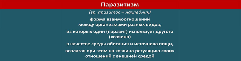 Рисунок автора.