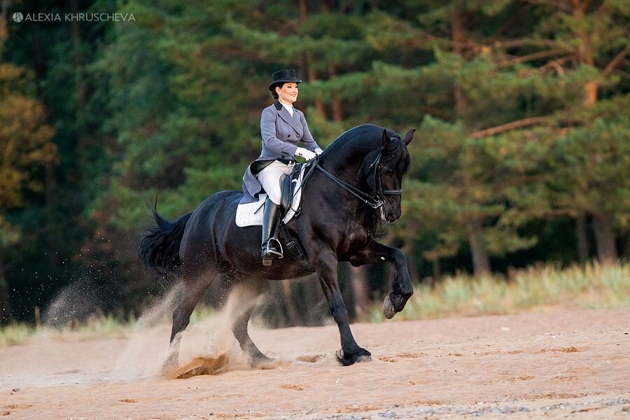 «…читайте, учитесь, анализируйте, признавайте ошибки, ищите гуманные и цивилизованные способы работы с лошадьми»