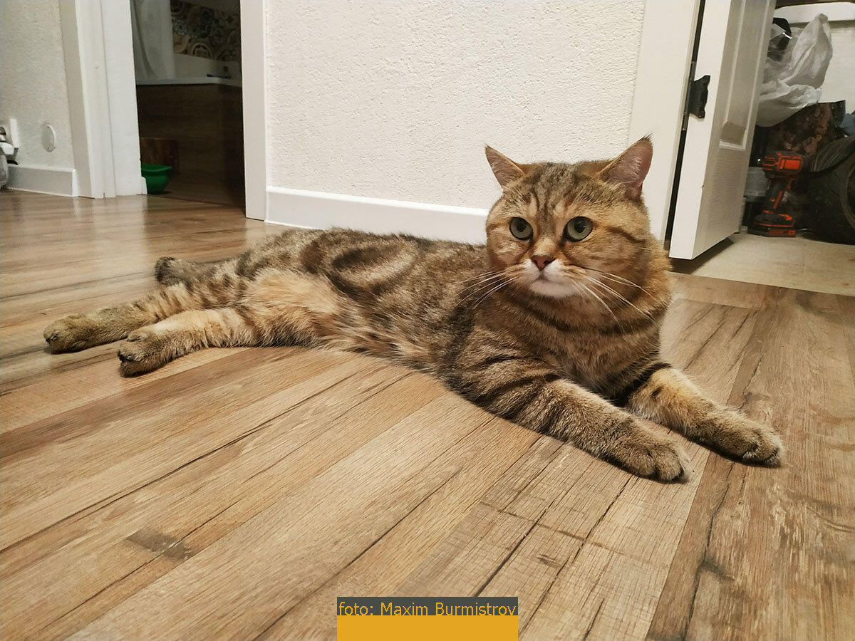 А что, мне тут нравится, давайте, люди, лелейте, обслуживайте меня!