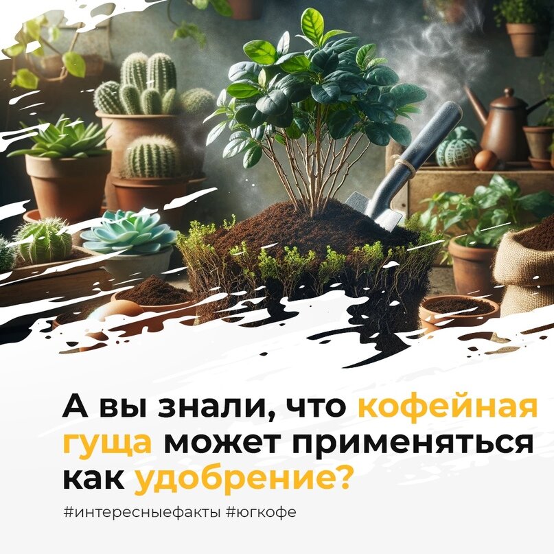 #интересныефакты #югкофе #кофе #coffee #кофессобой #кофейня #coffeetime #кофеман #кофемания #кофетайм