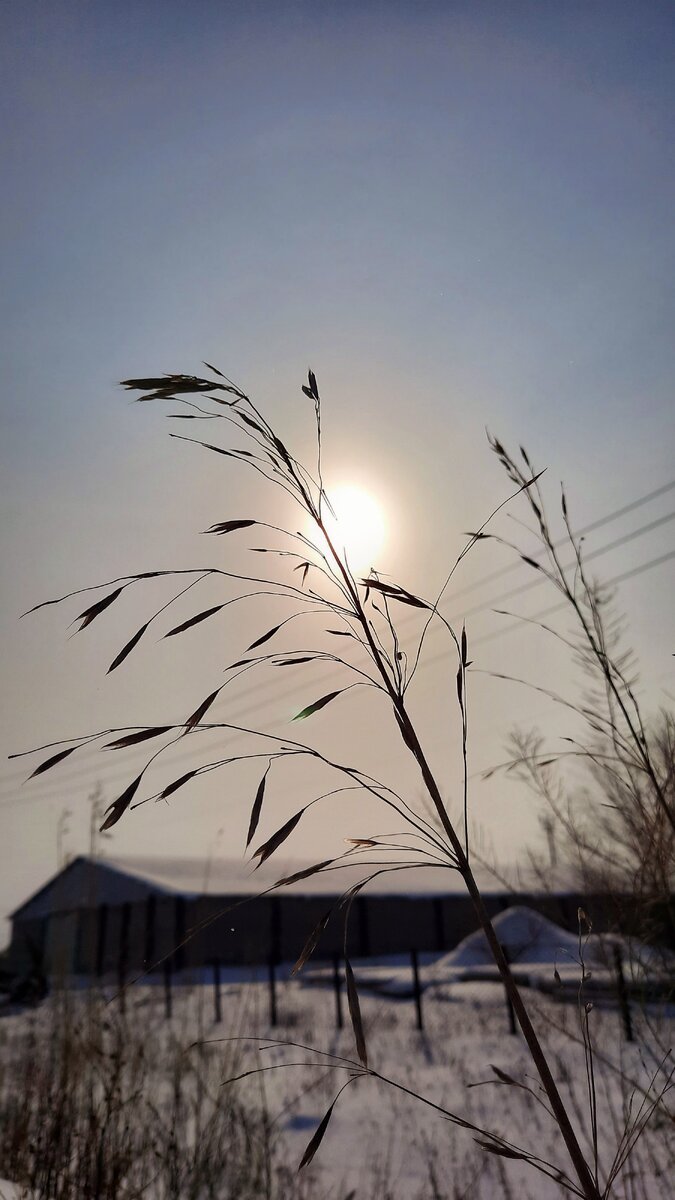 Год назад фото делала, возле работы своей, когда пешком ходила) 