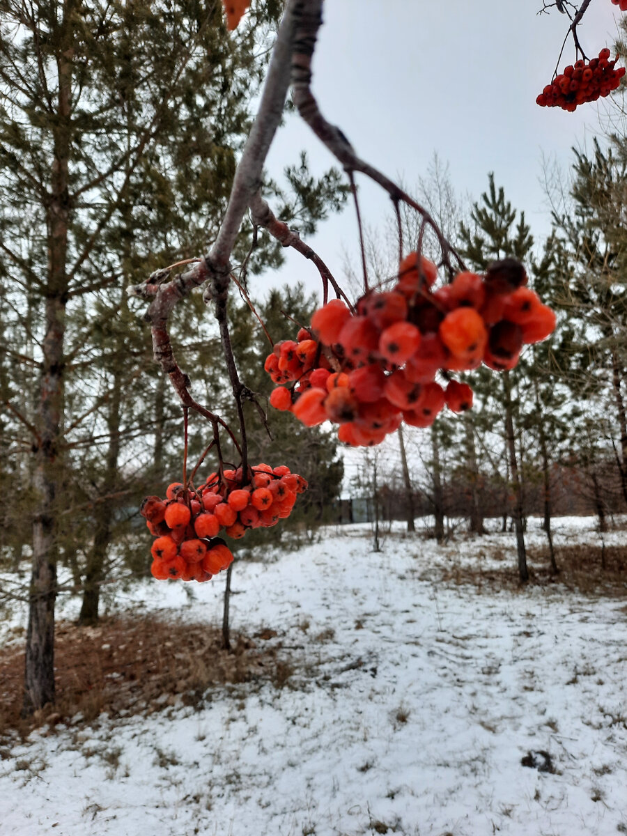 Нашла фото ещё с позапрошлого года, когда мы дом снимали) вот как тогда мне времени хватало и гулять, и писать много 😬 наверное я сейчас прям очень сильно обленилась 🙈