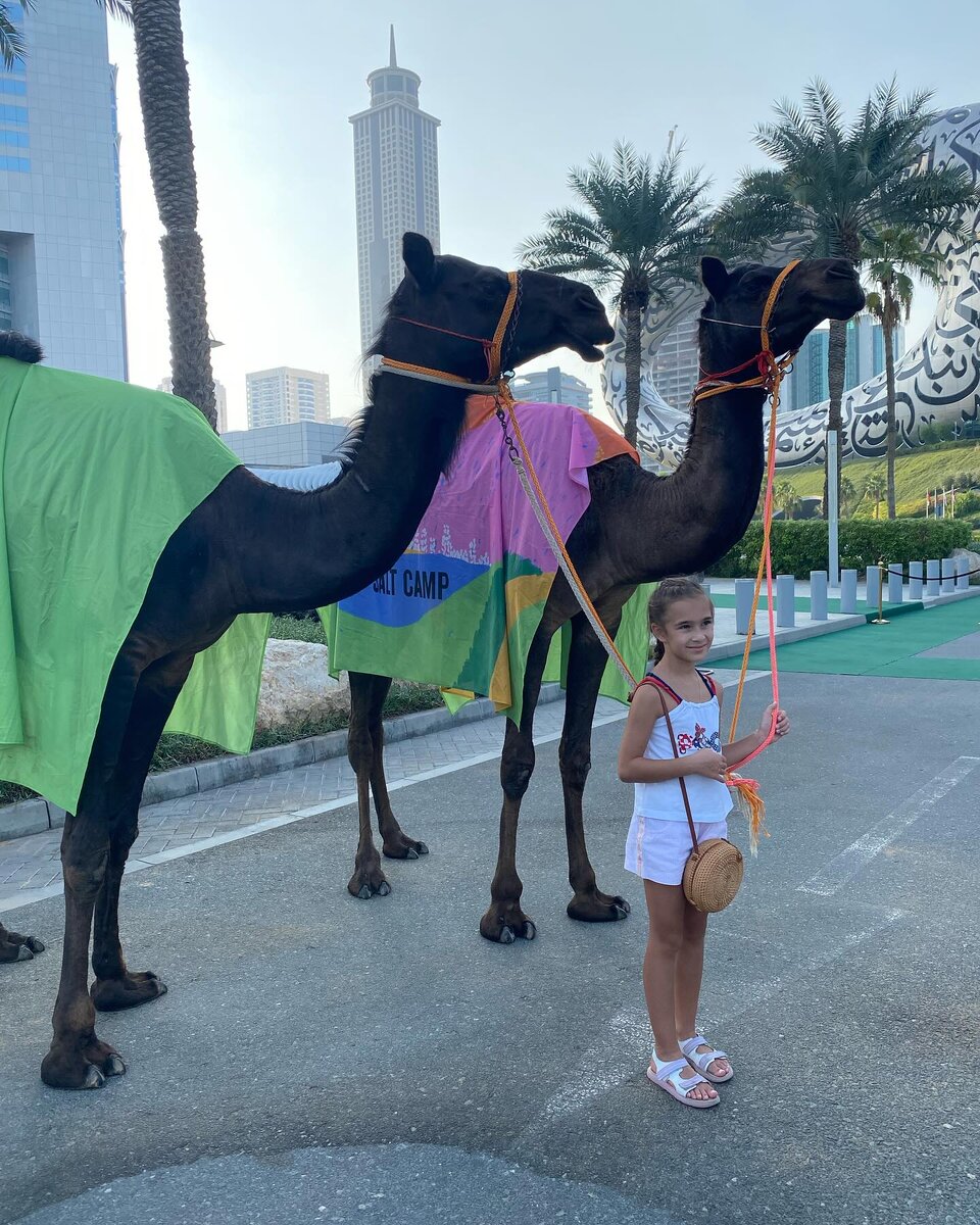 Дочка наших гостей с верблюдами