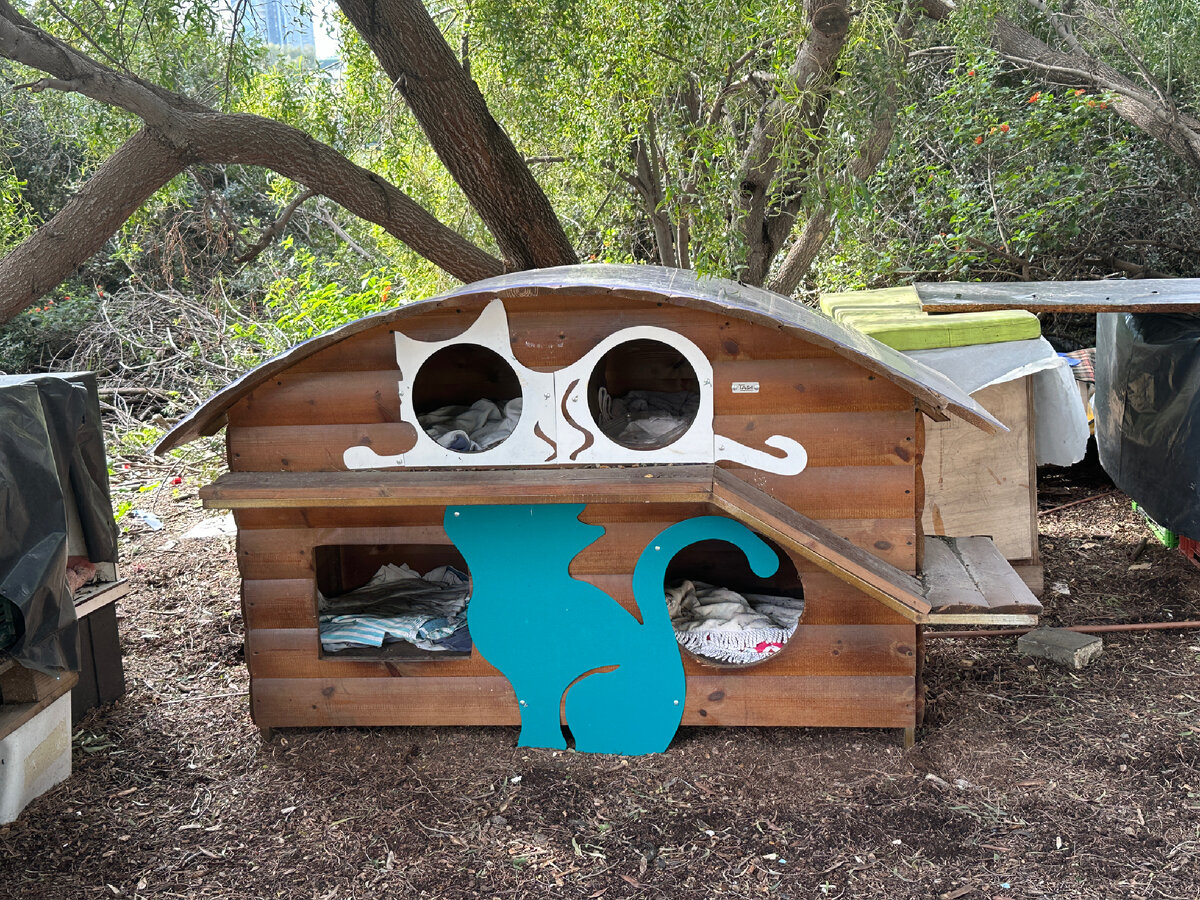 Личная фотография