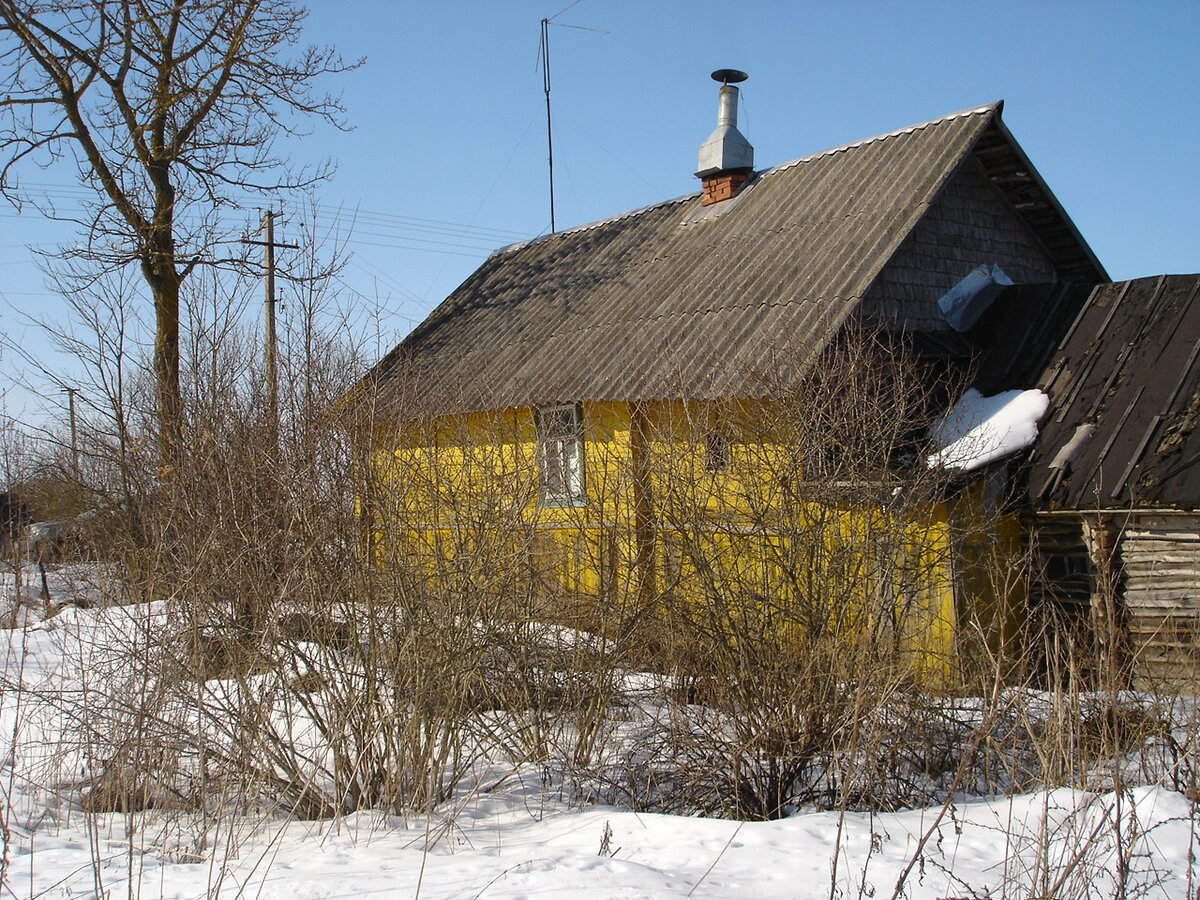 Февраль 2009 года 