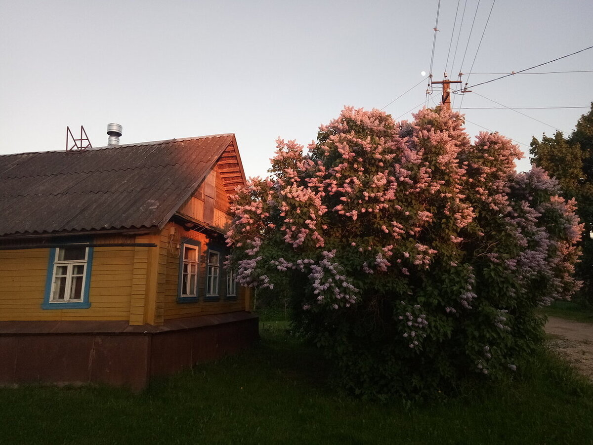Восстановленный фундамент и водоотлив над ним.