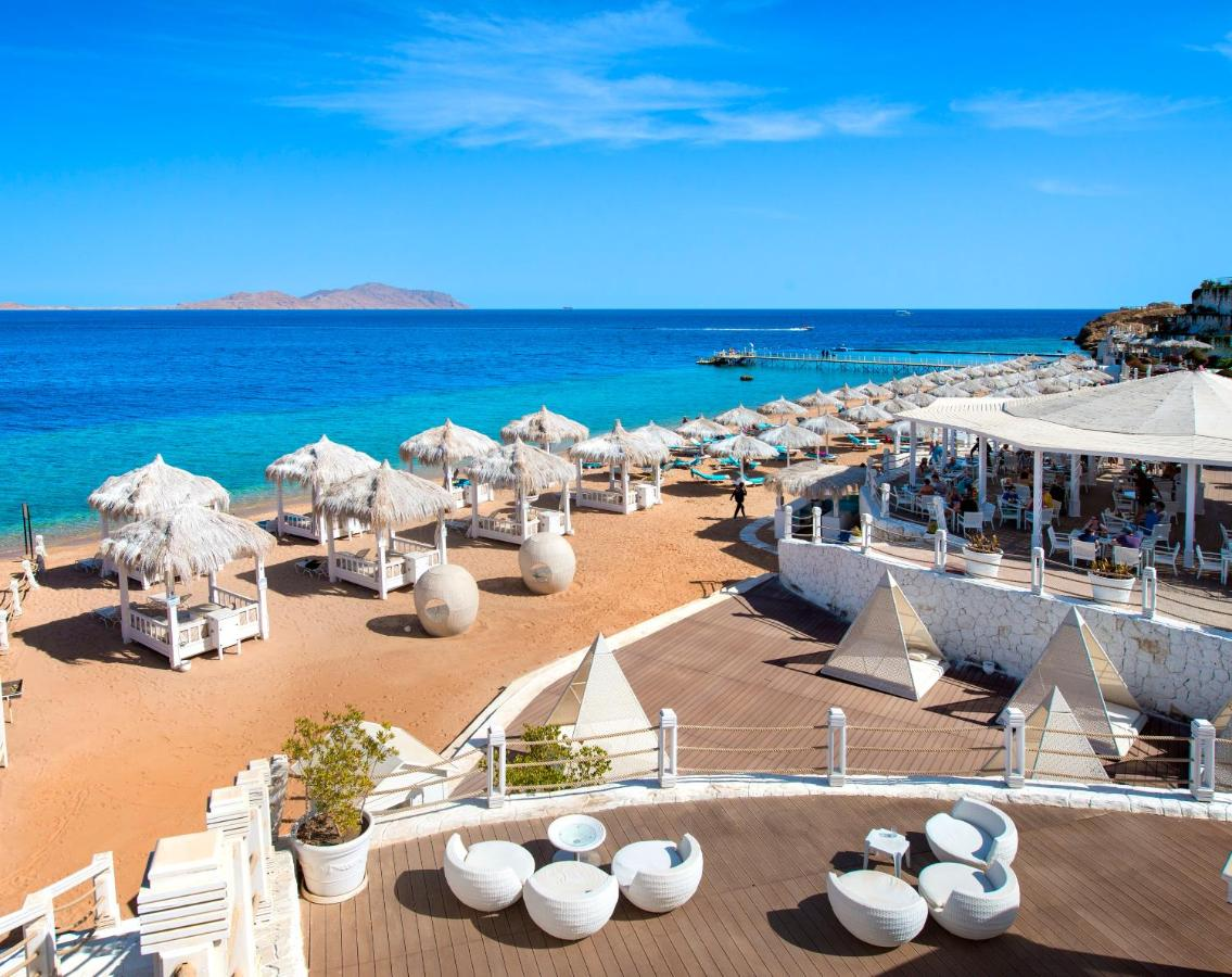 Sea club resort) 5*. Шарм шейх отели первая линия. Штайгенбергер альказар шарм эль шейх. Meraki resort sharm el sheikh 5* сайт отеля. Отель siva sharm resort spa 4.