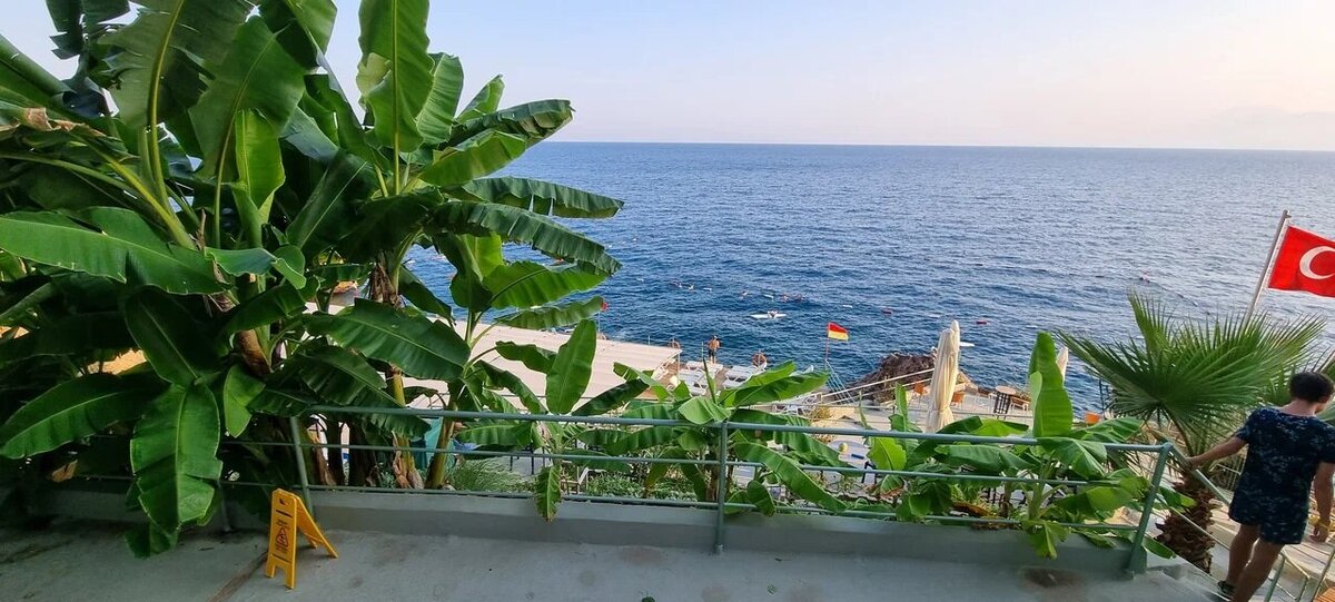 Фото: unsplash.com