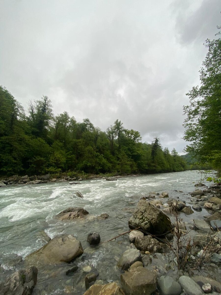 Бурное течение реки Сочи