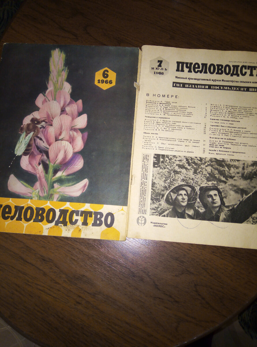 Фото автора.