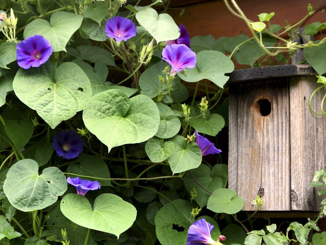 Фото: W. Layer, globallookpress.com