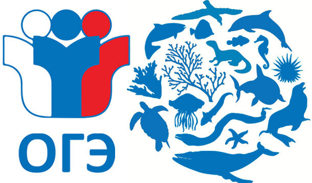 итоговое собеседование 2022. ответы на устный русский 2022. устный русский вариант 2. иллюстрации к итоговому собеседованию. информационные ресурсы для участников гиа.